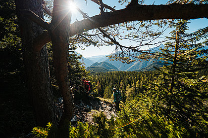 Etappe 12<br/>Gasthof Rogar - Alpengasthof Riepl