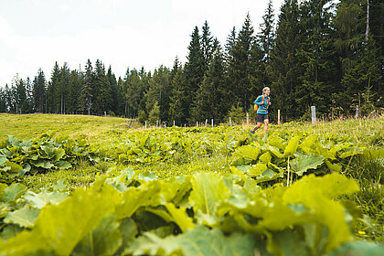 Green Spirit: Klimafreundliches Wandern mit Bahnanreise