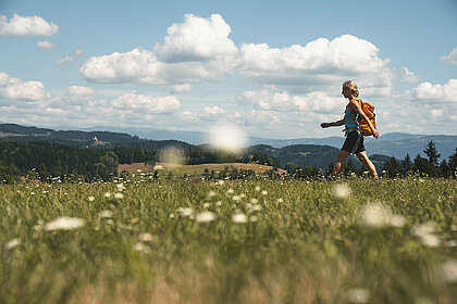 Etappe 16<br/>Gasthof Rabensteiner - Griffner Berg