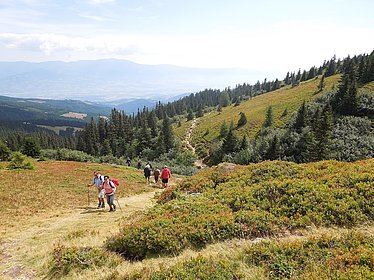 Etappe 17<br/>Griffner Berg - Pöllinger Hütte