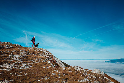 Wandern mit Hund<br/>am Panoramaweg Südalpen